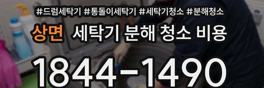 상면 세탁기 분해 청소 비용