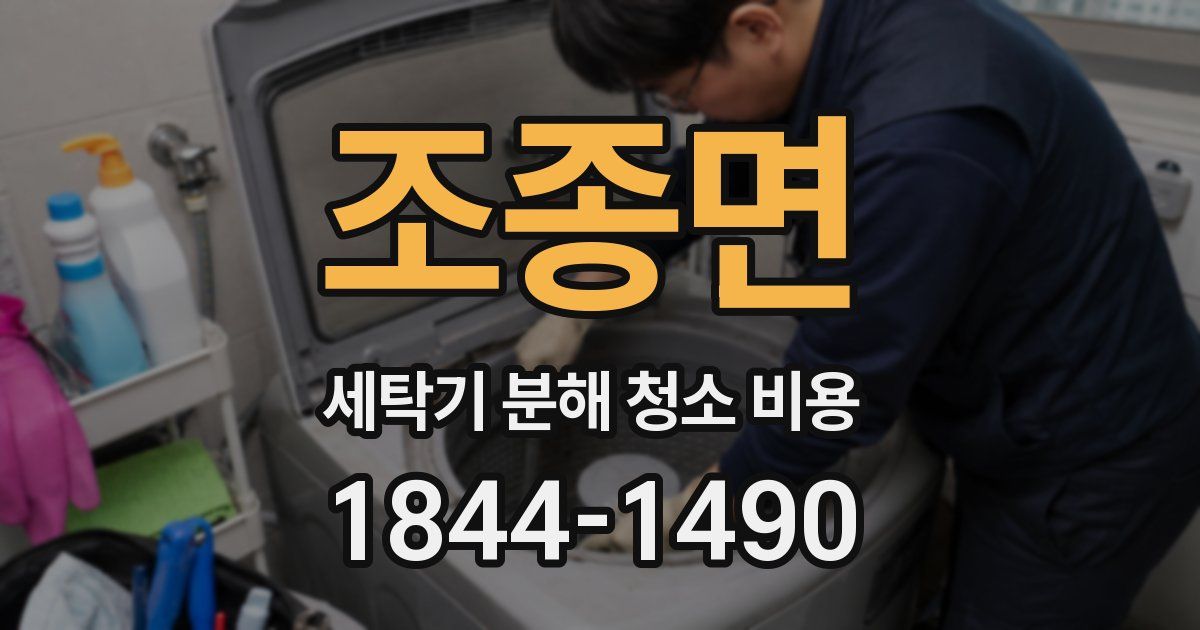 조종면 세탁기 분해 청소 비용
