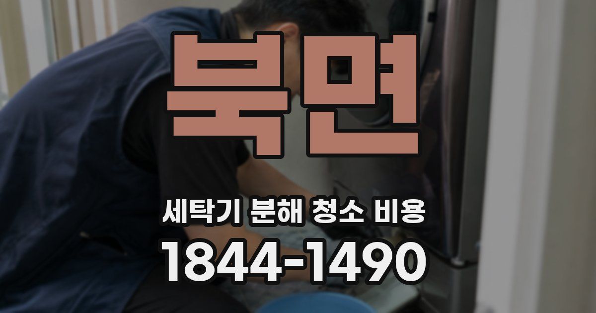 북면 세탁기 분해 청소 비용