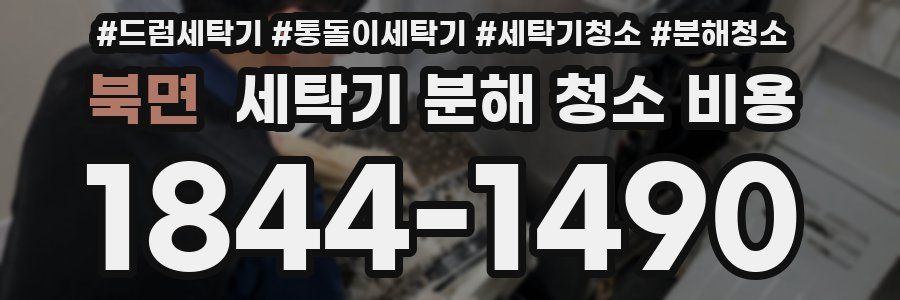 북면 세탁기 분해 청소 비용