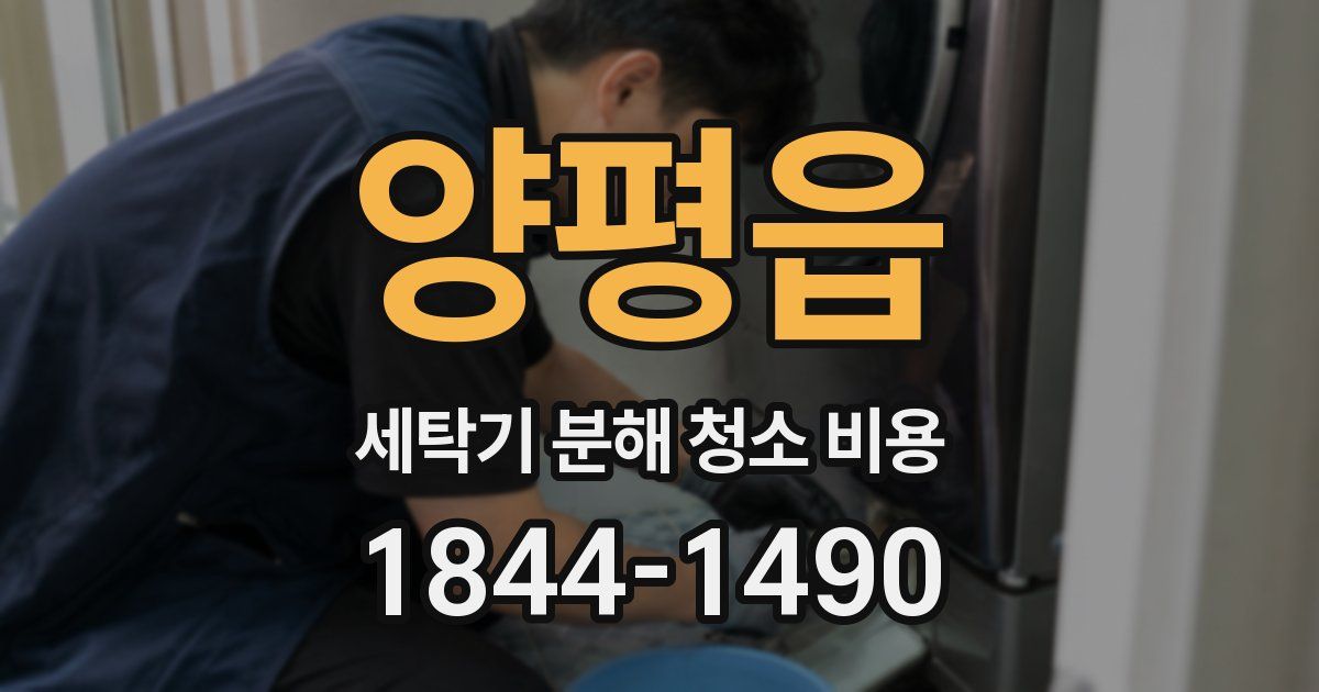 양평읍 세탁기 분해 청소 비용