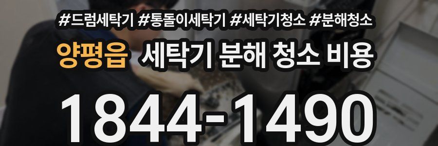 양평읍 세탁기 분해 청소 비용