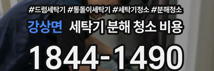 강상면 세탁기 분해 청소 비용