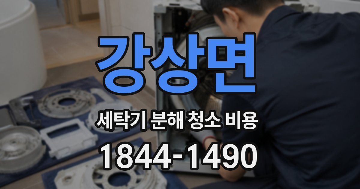 강상면 세탁기 분해 청소 비용