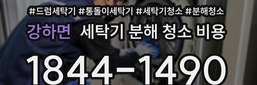 강하면 세탁기 분해 청소 비용