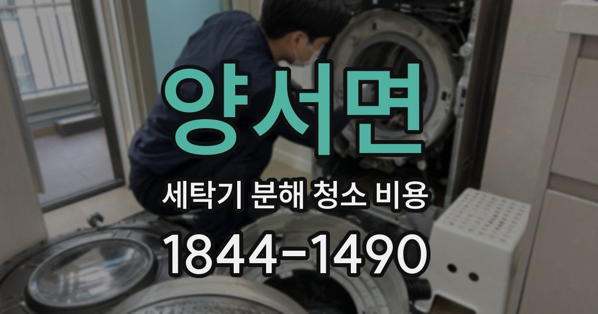 양서면 세탁기 분해 청소 비용
