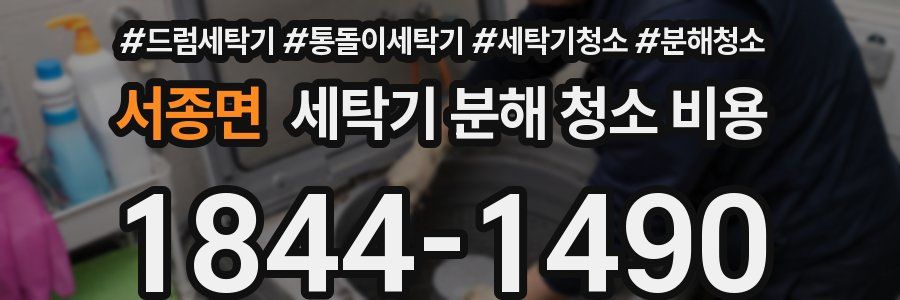 서종면 세탁기 분해 청소 비용