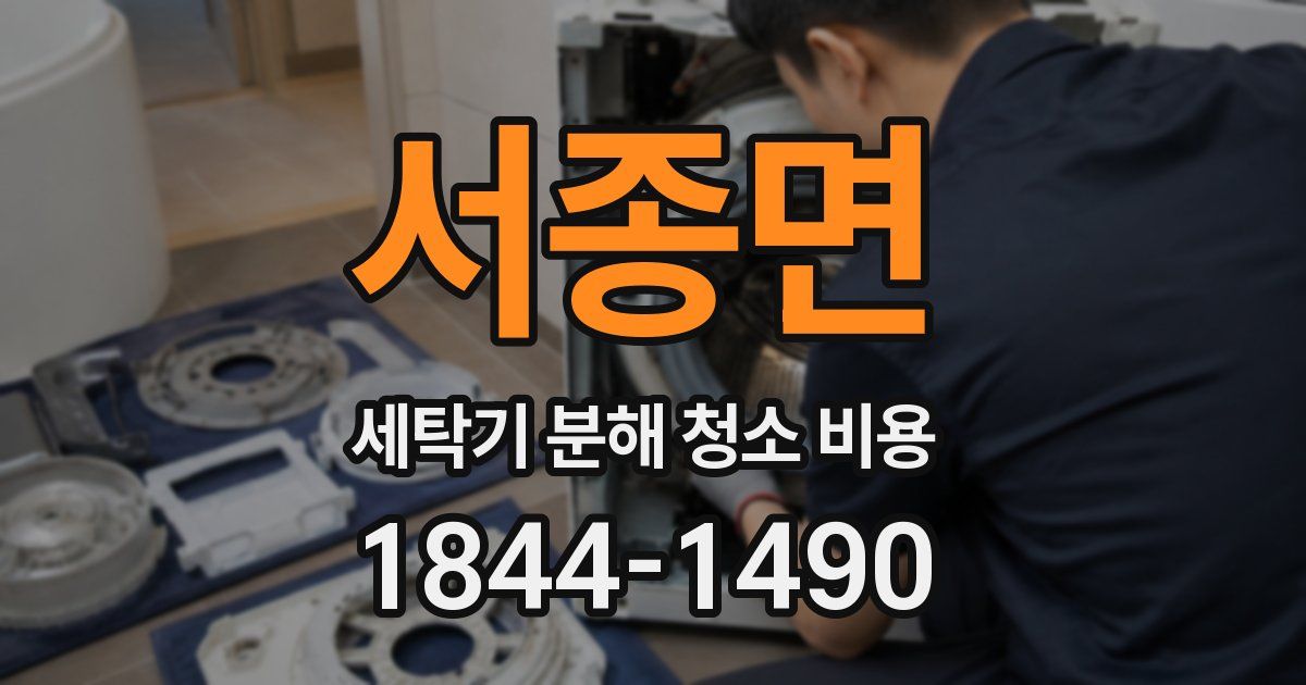 서종면 세탁기 분해 청소 비용