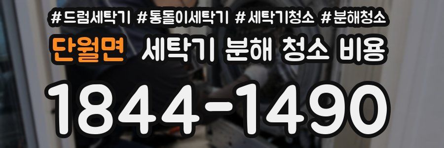 단월면 세탁기 분해 청소 비용