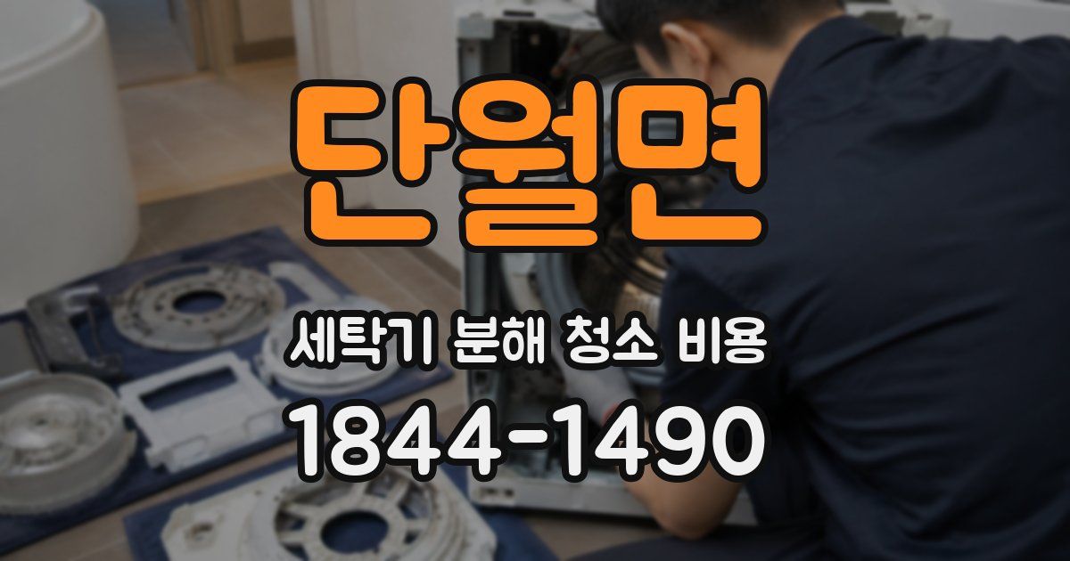 단월면 세탁기 분해 청소 비용