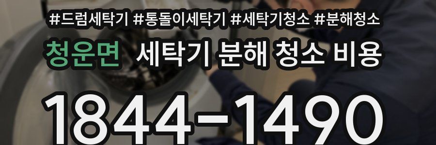 청운면 세탁기 분해 청소 비용