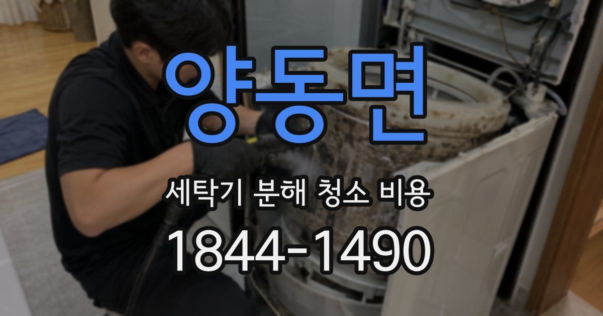 양동면 세탁기 분해 청소 비용