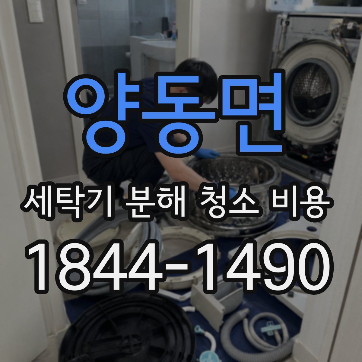 양동면 세탁기 분해 청소 비용
