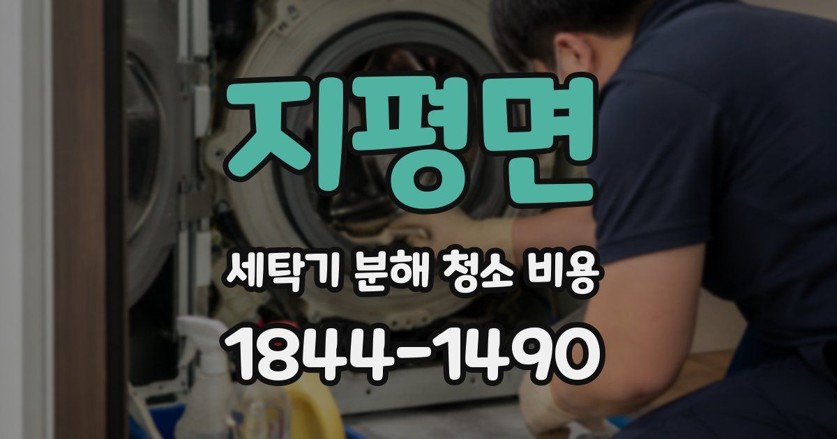 지평면 세탁기 분해 청소 비용