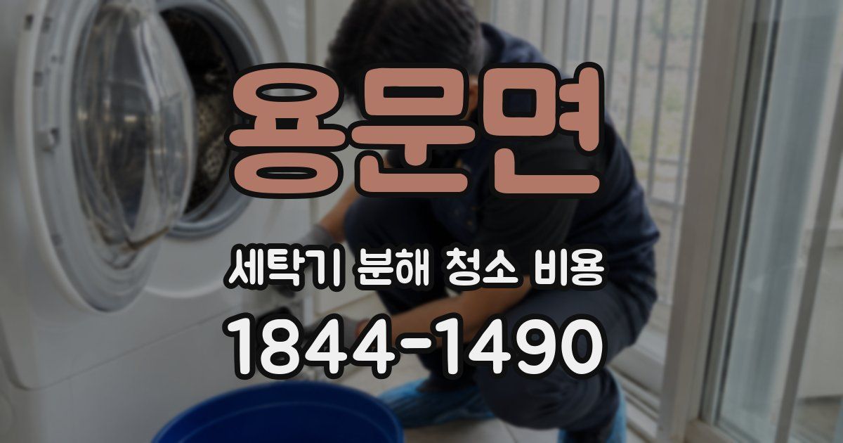 용문면 세탁기 분해 청소 비용