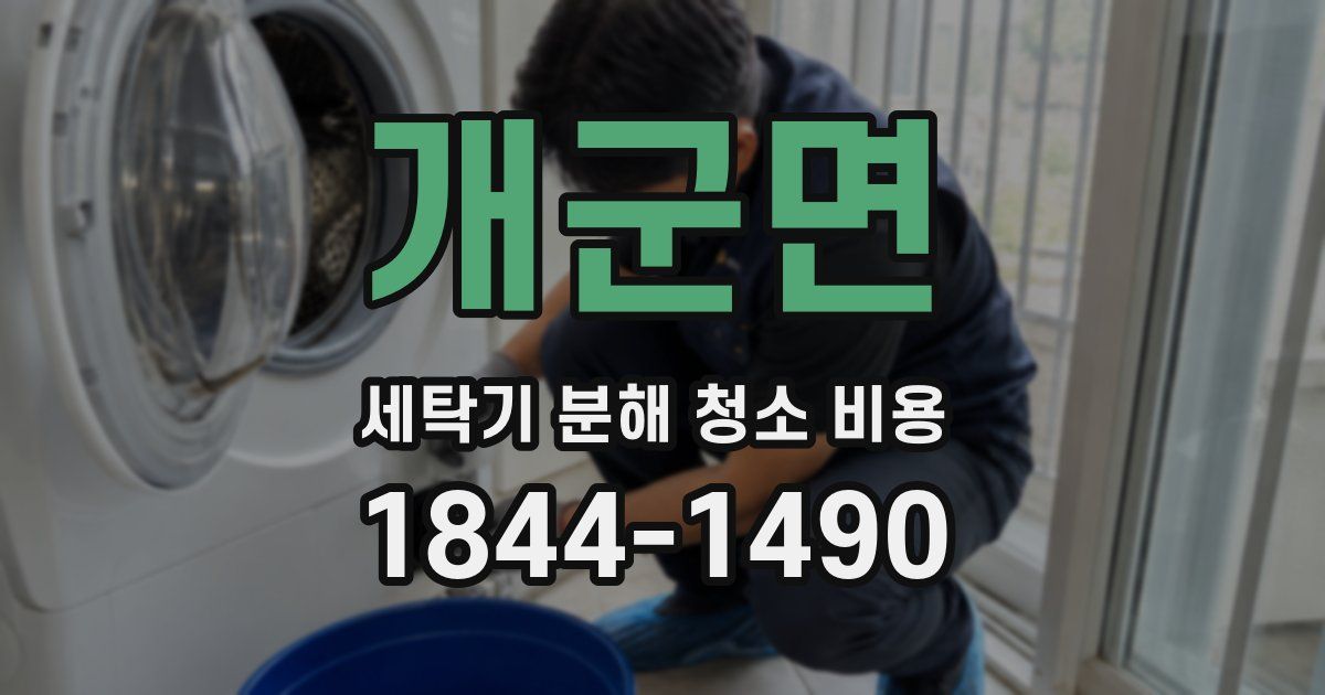 개군면 세탁기 분해 청소 비용