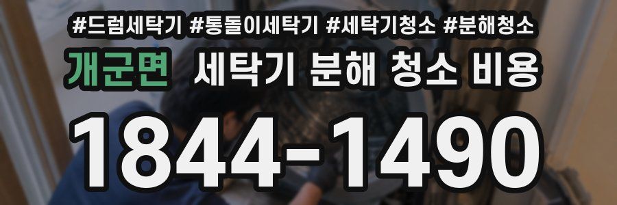 개군면 세탁기 분해 청소 비용