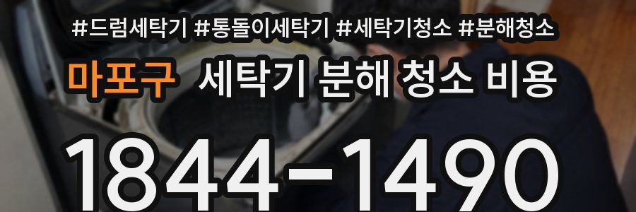 마포구 세탁기 분해 청소 비용