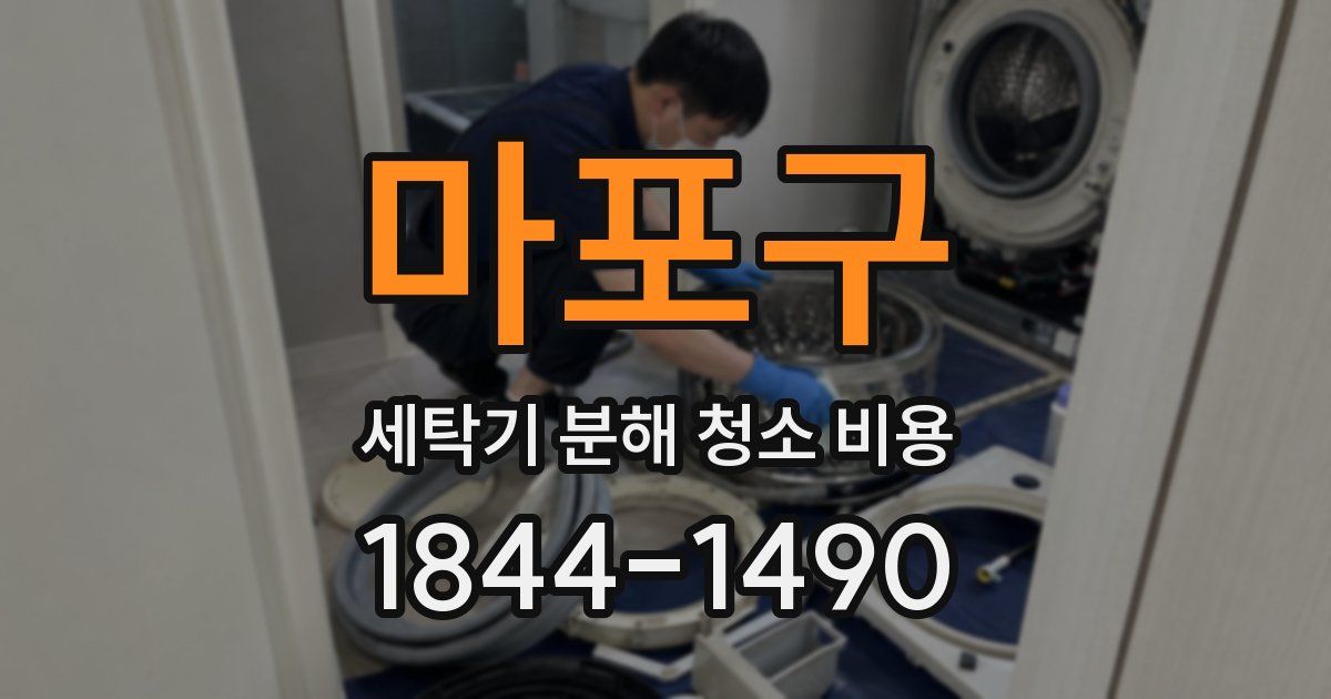 마포구 세탁기 분해 청소 비용