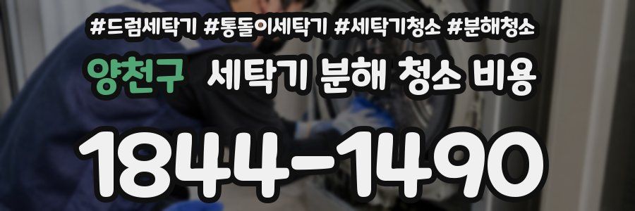 양천구 세탁기 분해 청소 비용
