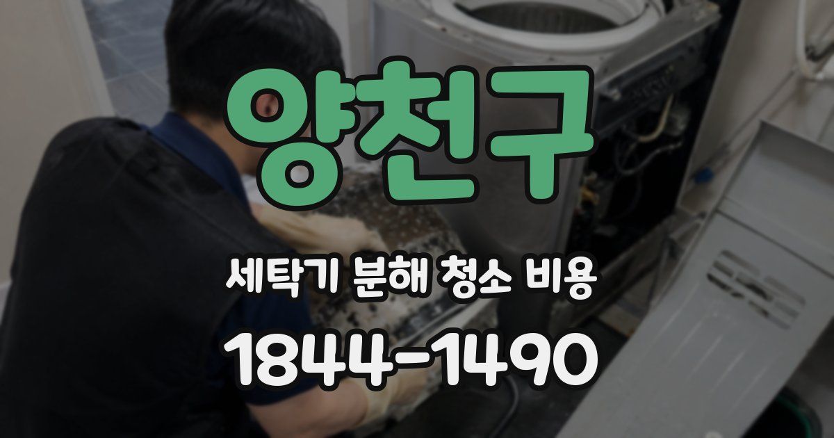 양천구 세탁기 분해 청소 비용