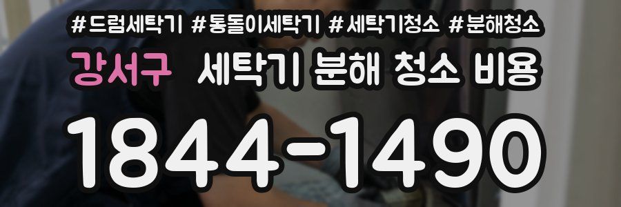 강서구 세탁기 분해 청소 비용