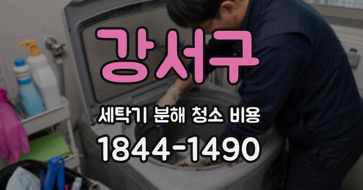 강서구 세탁기 분해 청소 비용