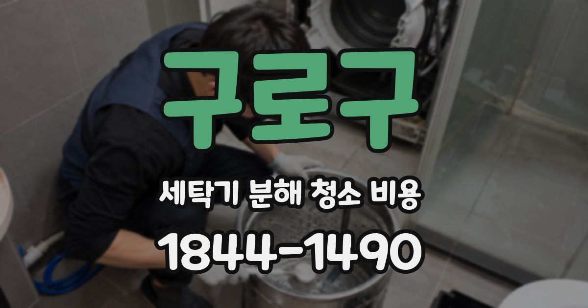 구로구 세탁기 분해 청소 비용