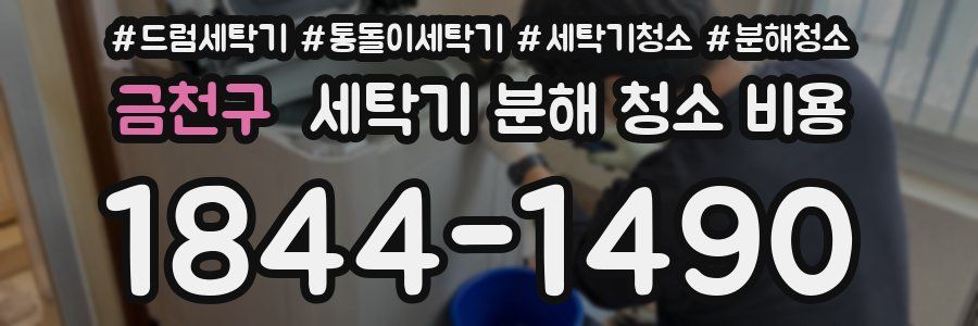 금천구 세탁기 분해 청소 비용