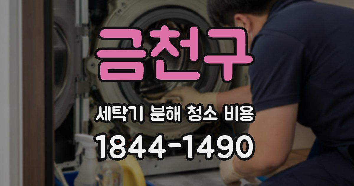 금천구 세탁기 분해 청소 비용