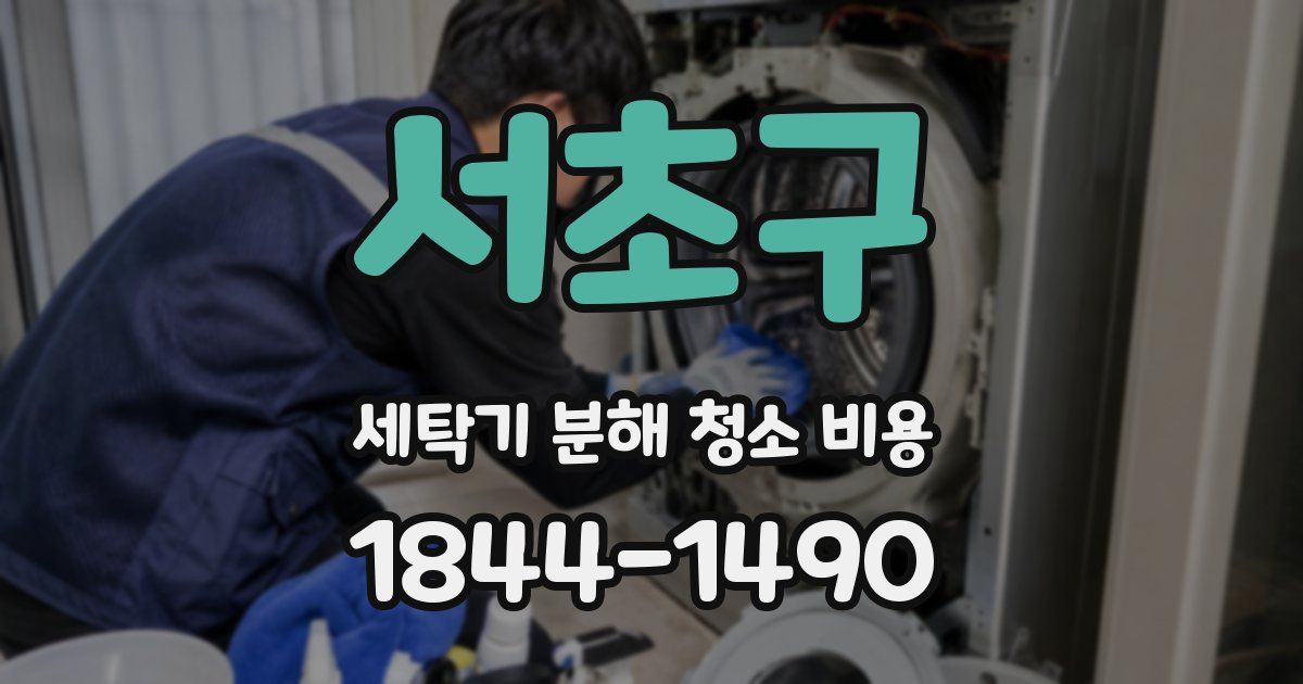 서초구 세탁기 분해 청소 비용