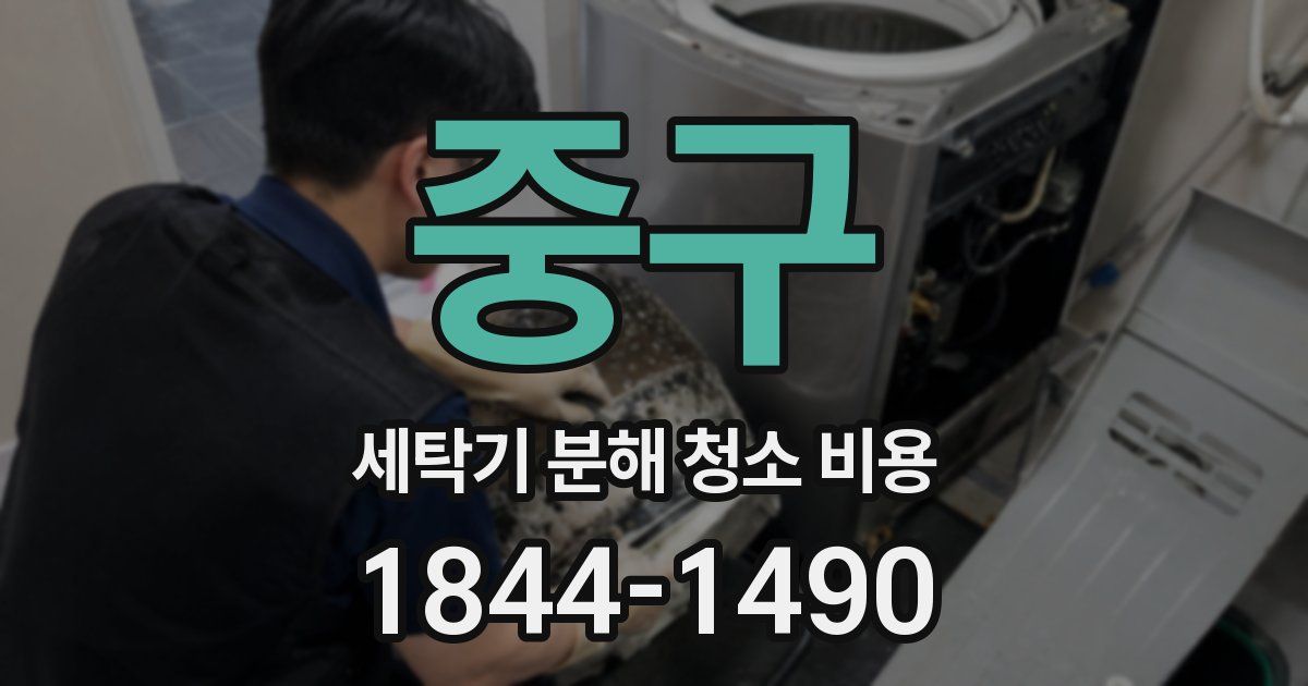 중구 세탁기 분해 청소 비용