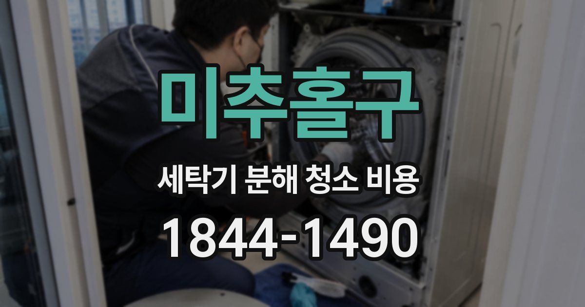 미추홀구 세탁기 분해 청소 비용