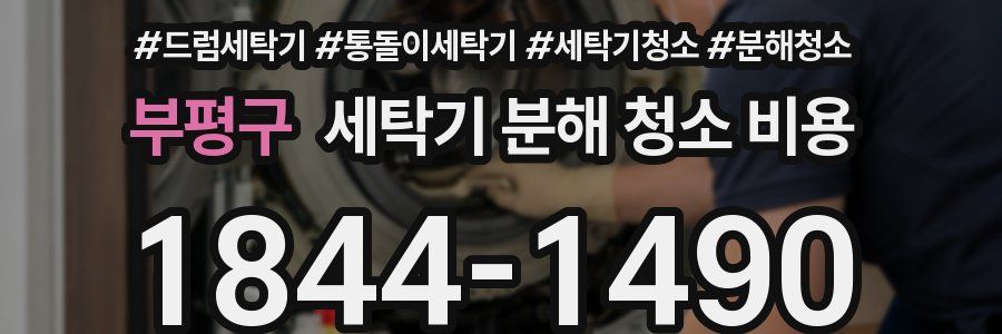 부평구 세탁기 분해 청소 비용
