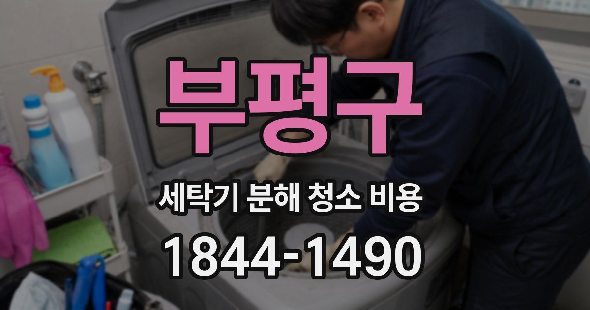 부평구 세탁기 분해 청소 비용