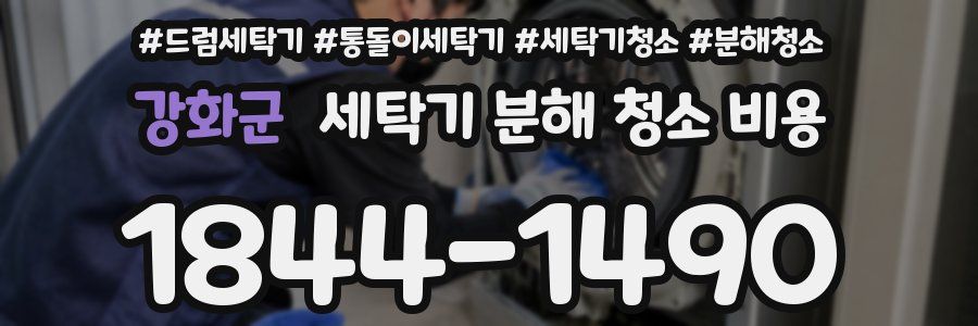 강화군 세탁기 분해 청소 비용