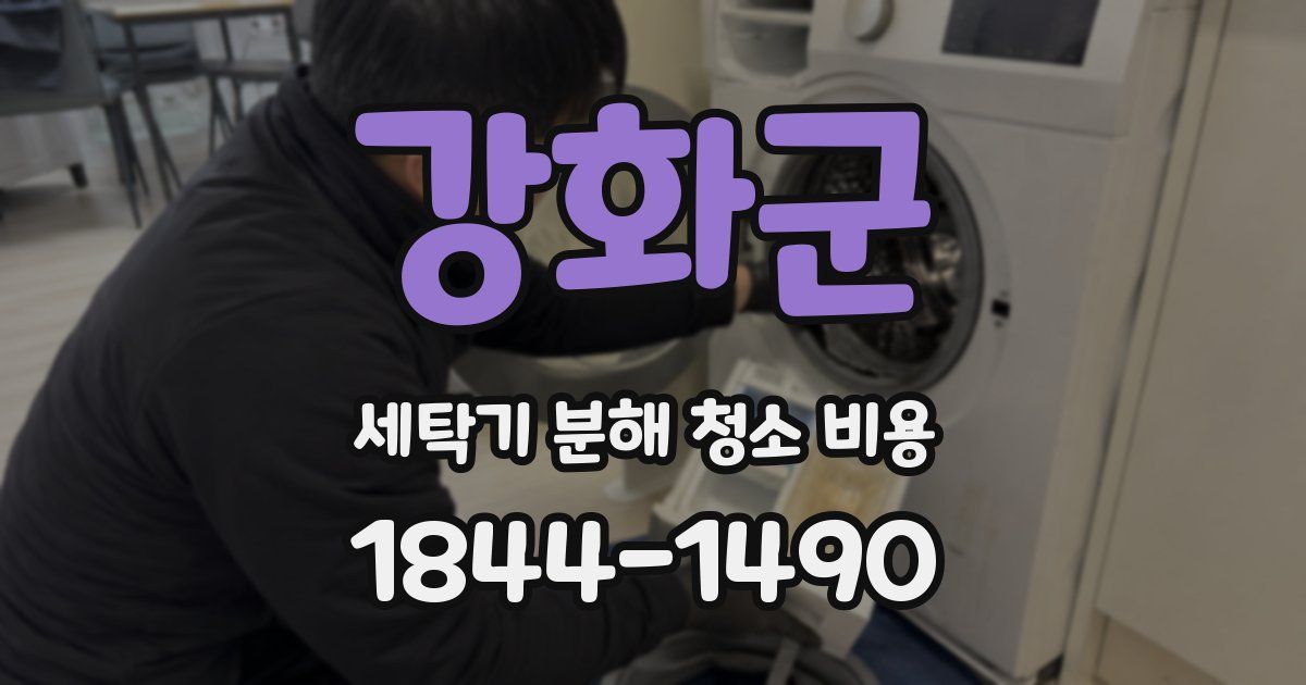 강화군 세탁기 분해 청소 비용