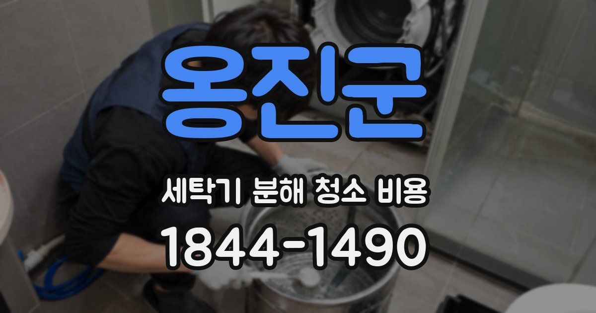 옹진군 세탁기 분해 청소 비용