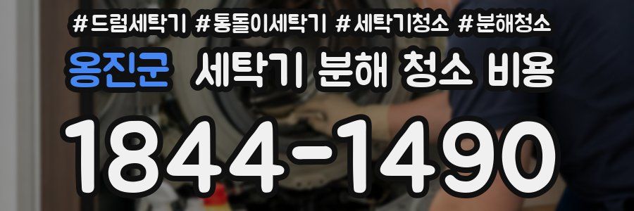 옹진군 세탁기 분해 청소 비용