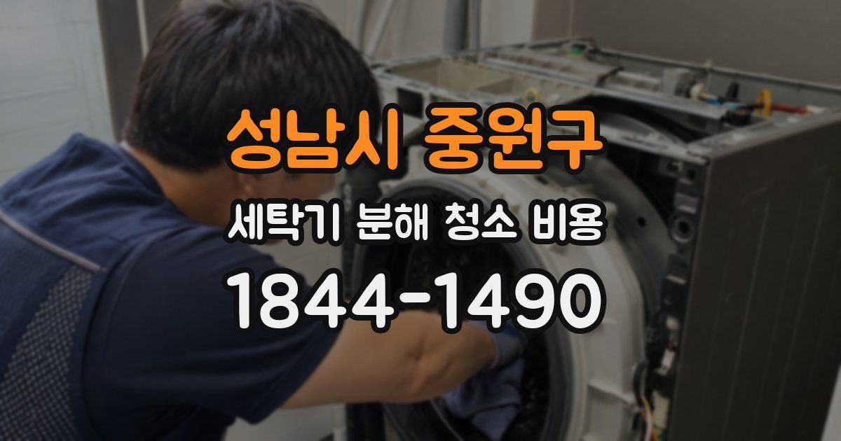 성남시 중원구 세탁기 분해 청소 비용