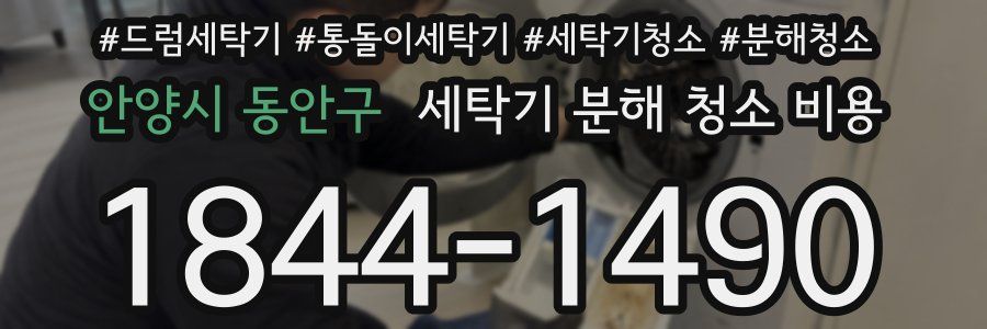 안양시 동안구 세탁기 분해 청소 비용