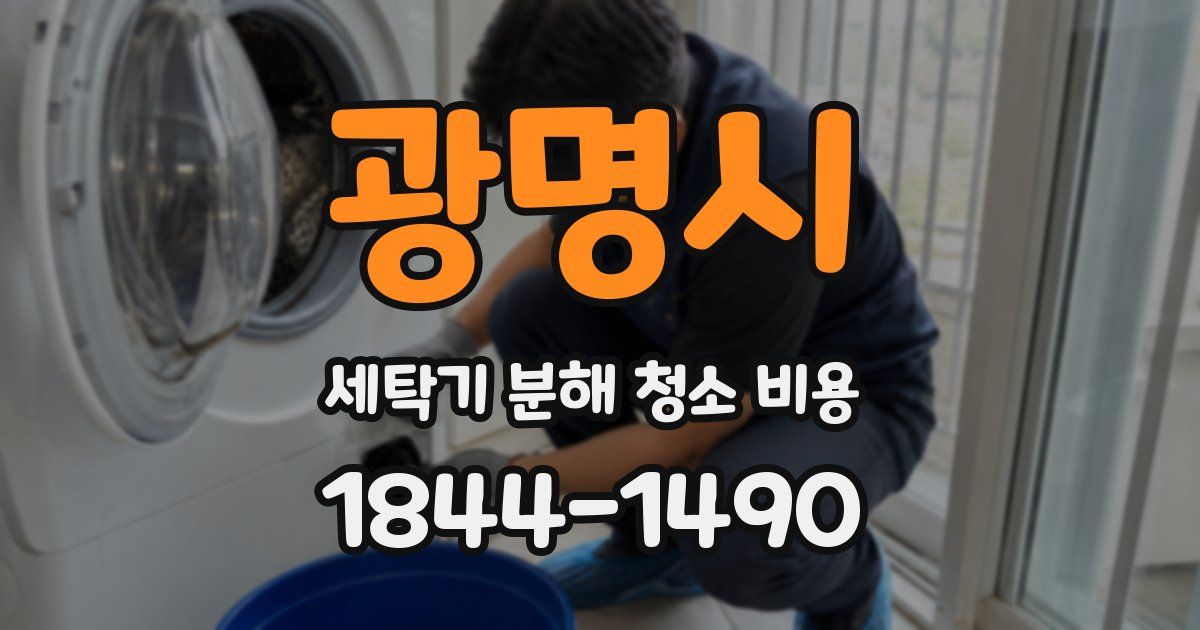 광명시 세탁기 분해 청소 비용