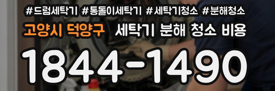 고양시 덕양구 세탁기 분해 청소 비용