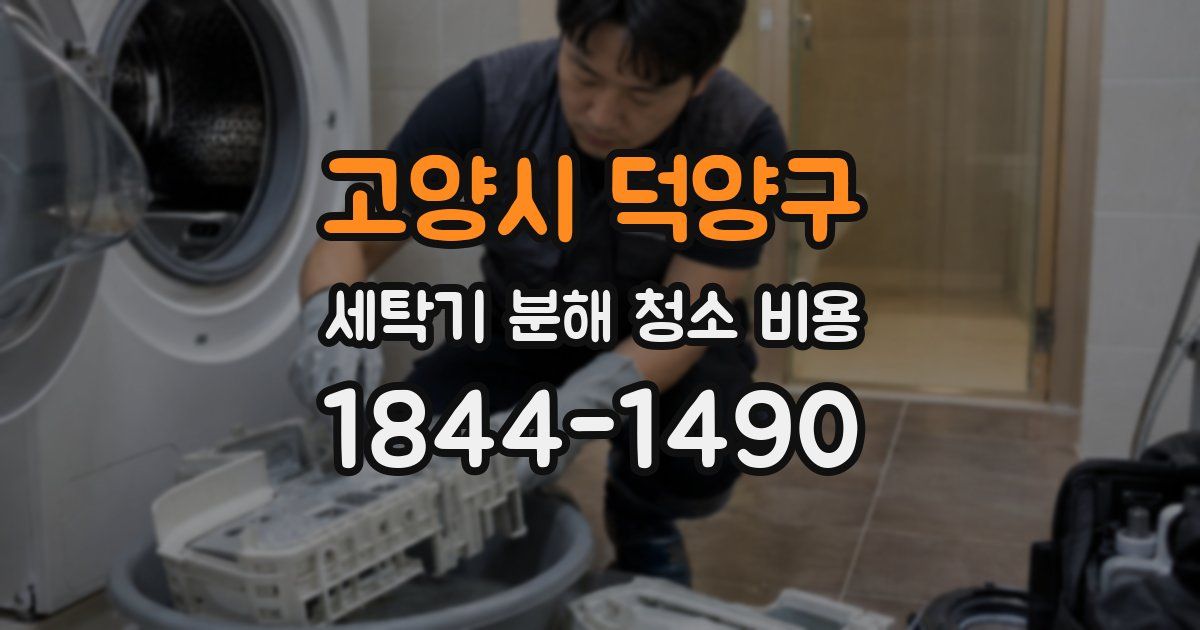 고양시 덕양구 세탁기 분해 청소 비용