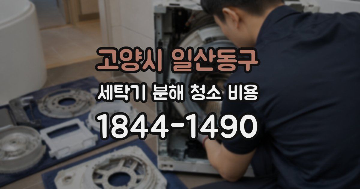 고양시 일산동구 세탁기 분해 청소 비용