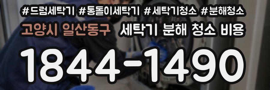 고양시 일산동구 세탁기 분해 청소 비용