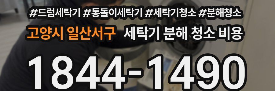 고양시 일산서구 세탁기 분해 청소 비용
