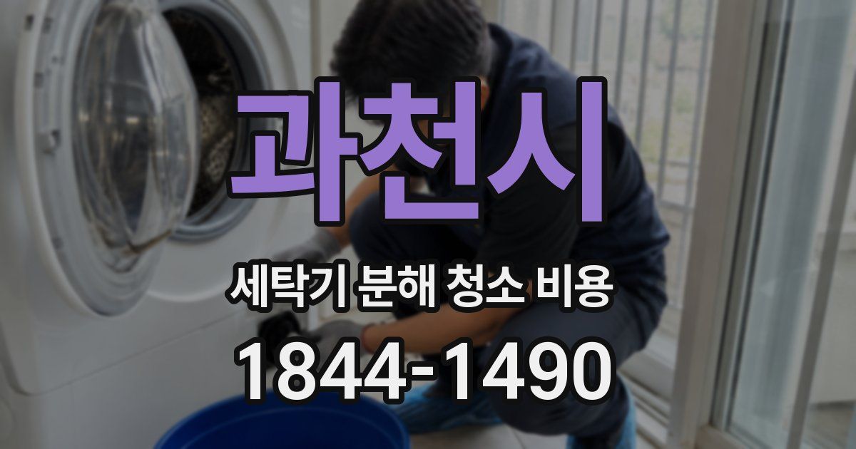 과천시 세탁기 분해 청소 비용