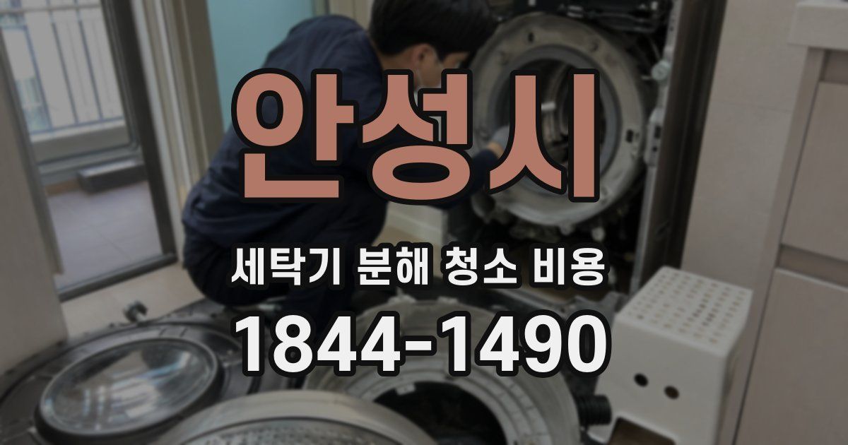 안성시 세탁기 분해 청소 비용