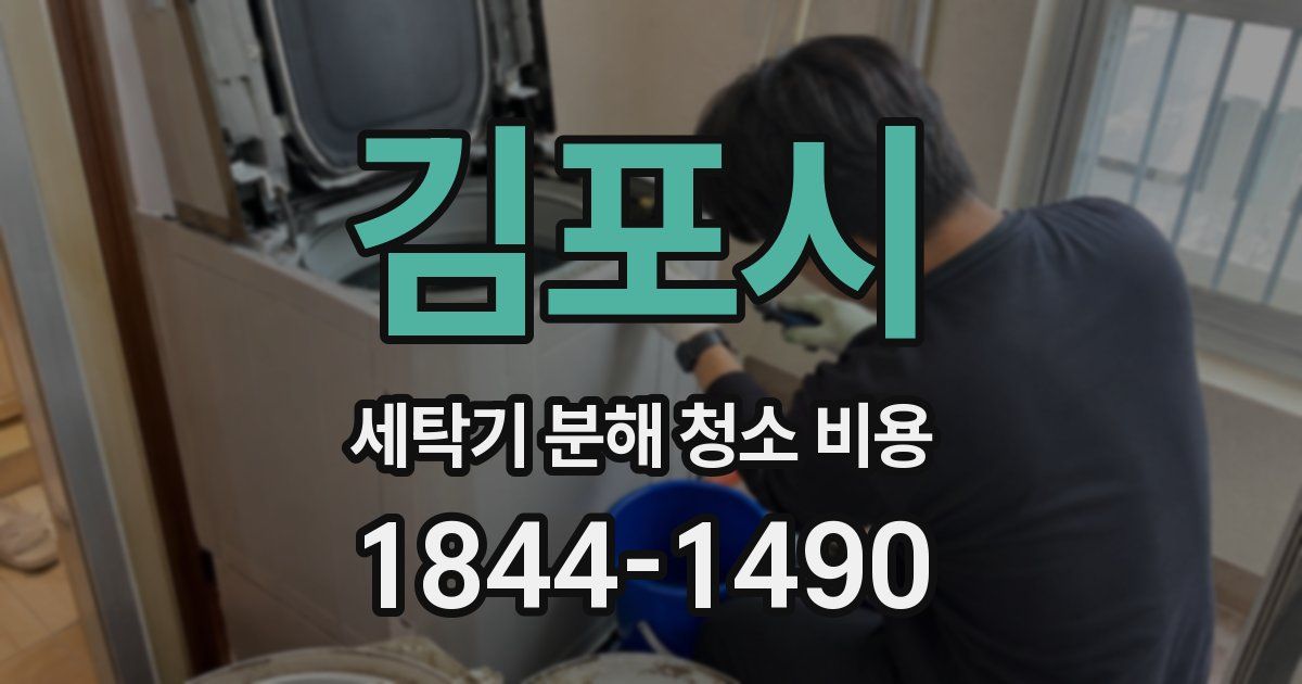 김포시 세탁기 분해 청소 비용
